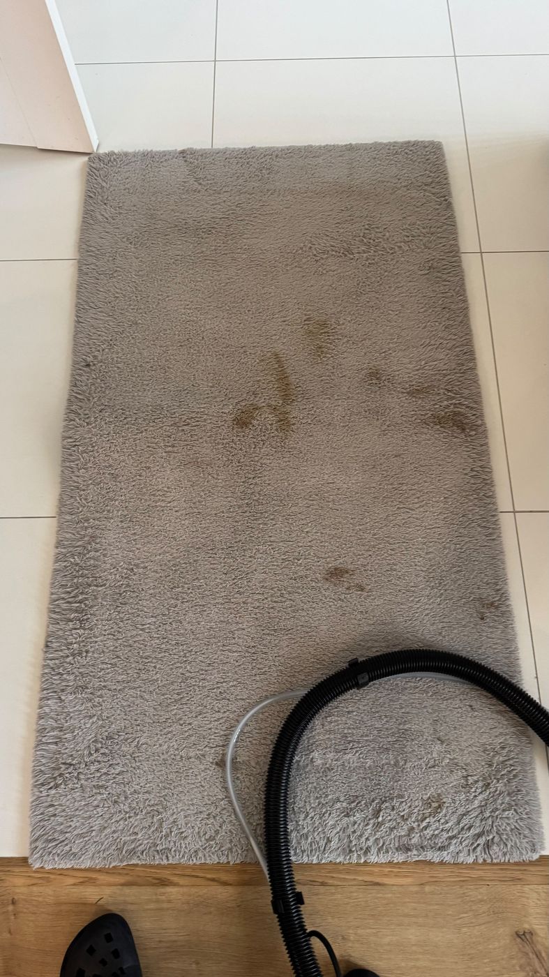 Koberec so škvrnami pred tepovaním